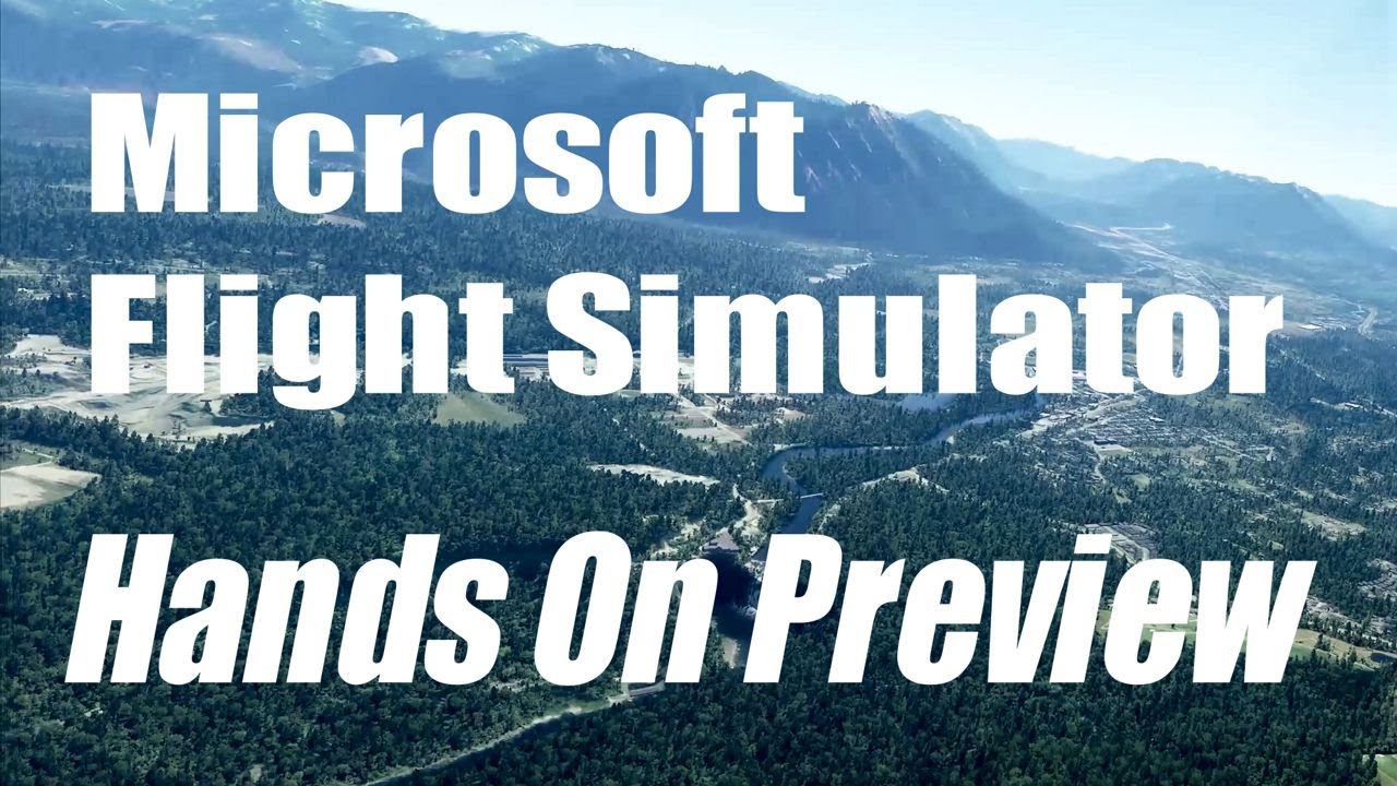 MICROSOFT FLIGHT SIMULATOR HANDS ON