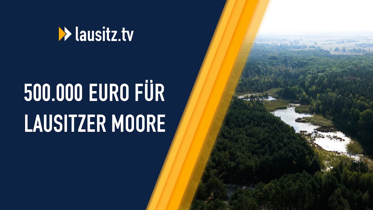Unterschätzte Klimaschützer: Kaufland und CocaCola unterstützen Projekt zur Renaturierung von Mooren
