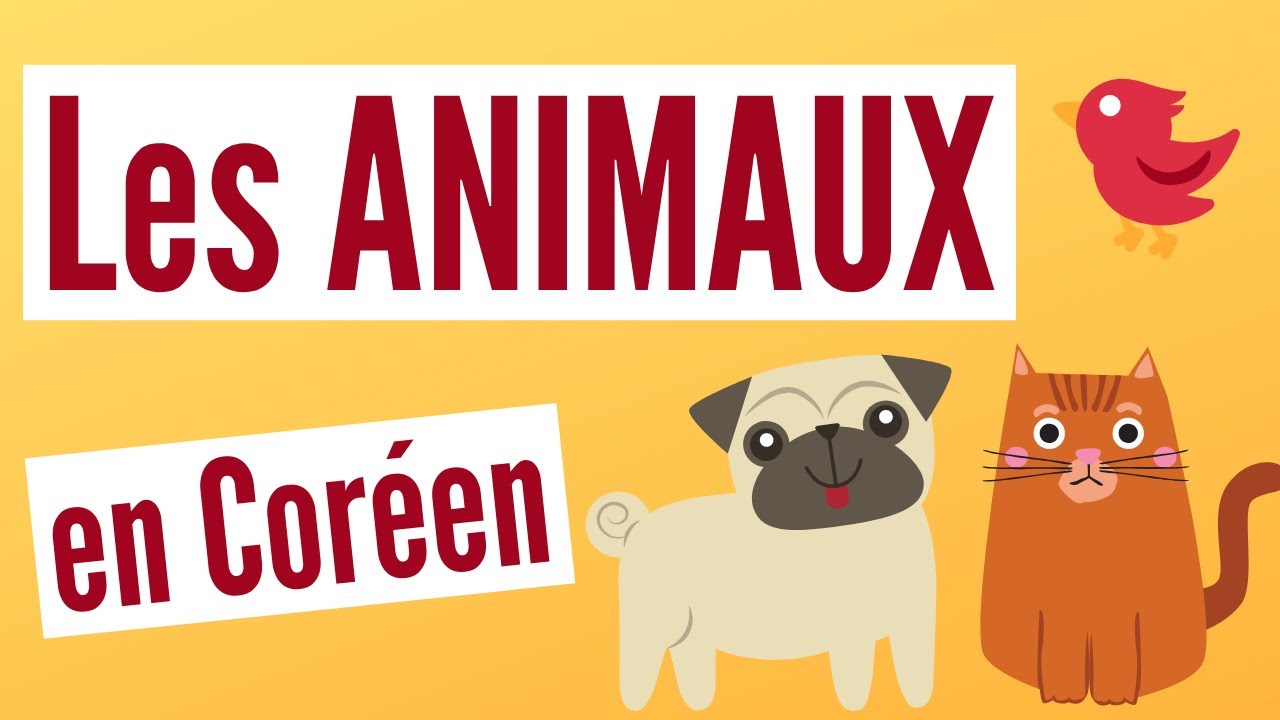 Les ANIMAUX en CORÉEN - Vocabulaire coréen