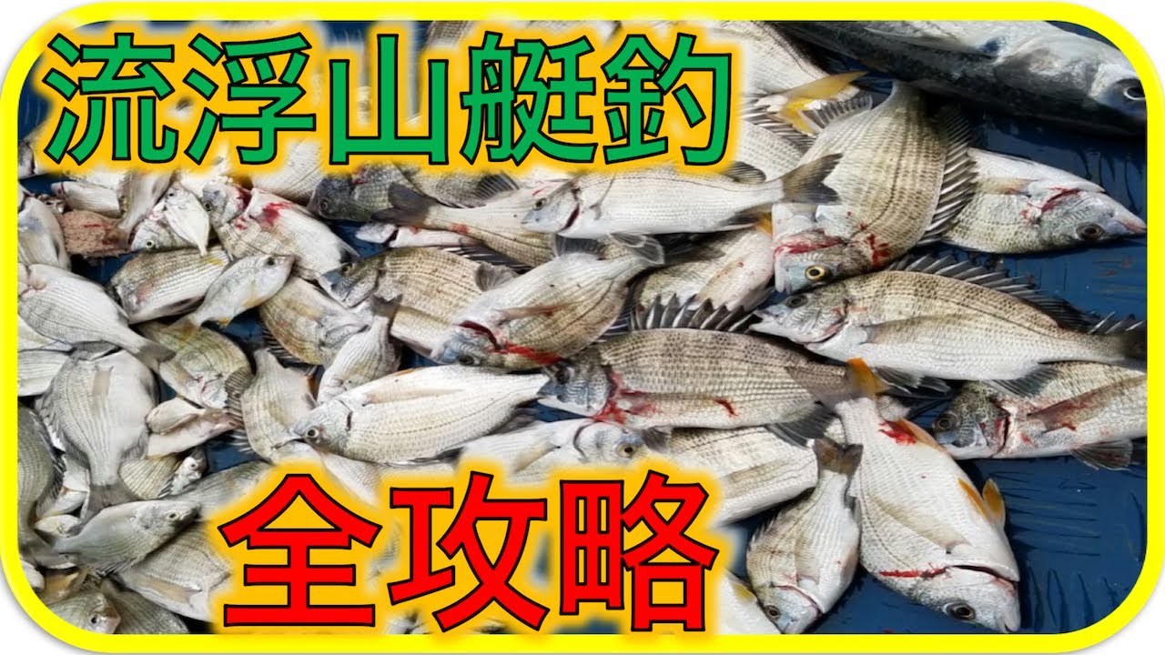 【香港釣魚新手教學】4分鐘學會｜流浮山艇釣全攻略  [中文字幕]