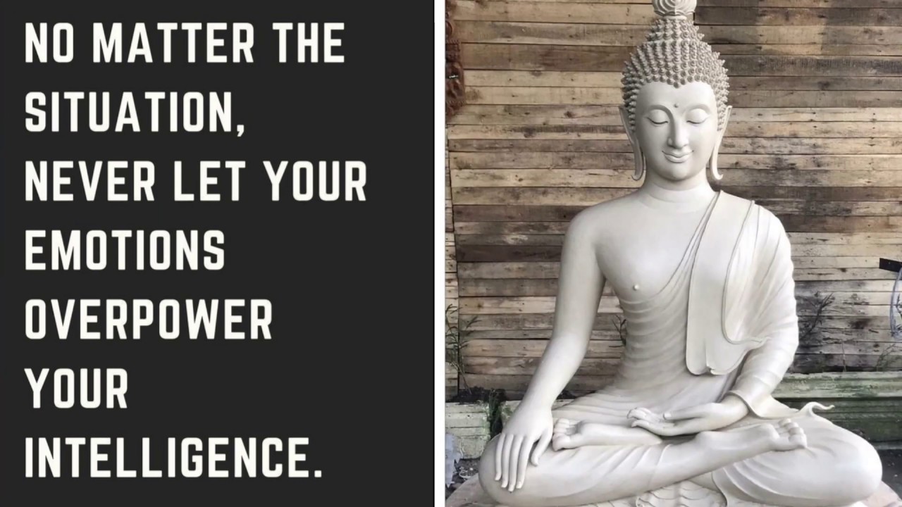 Awesome Buddhist quotes