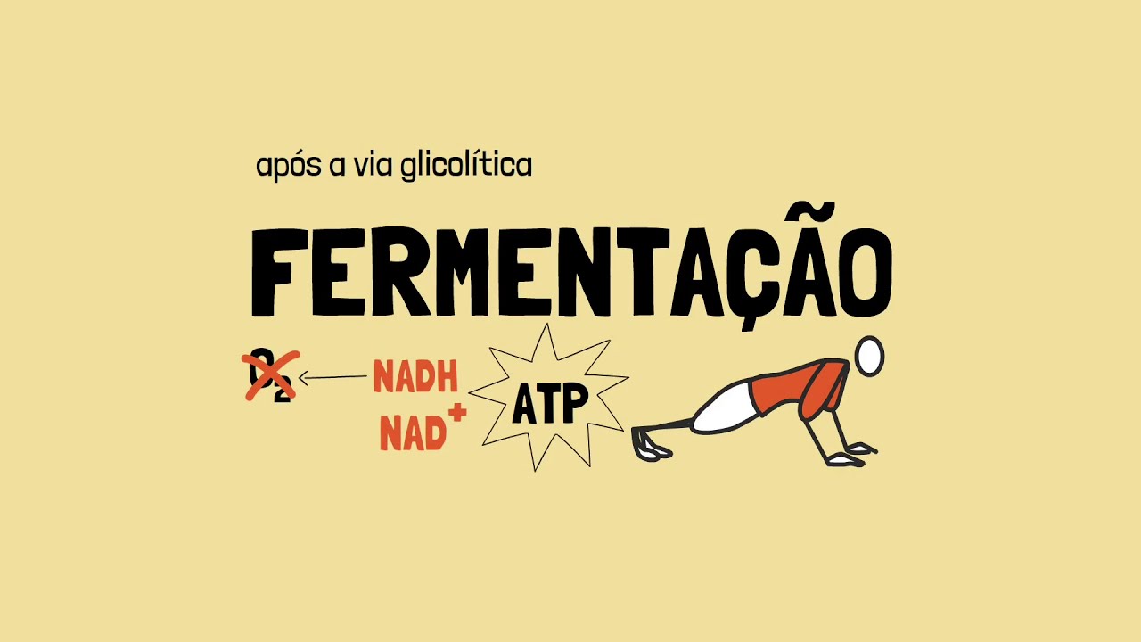 Fermenta&ccedil;&atilde;o