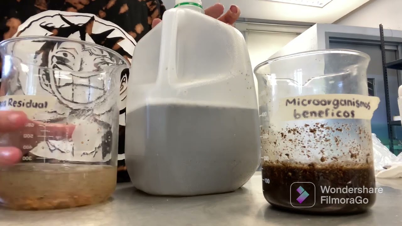 Microorganismos benéficos tratadores de agua residual