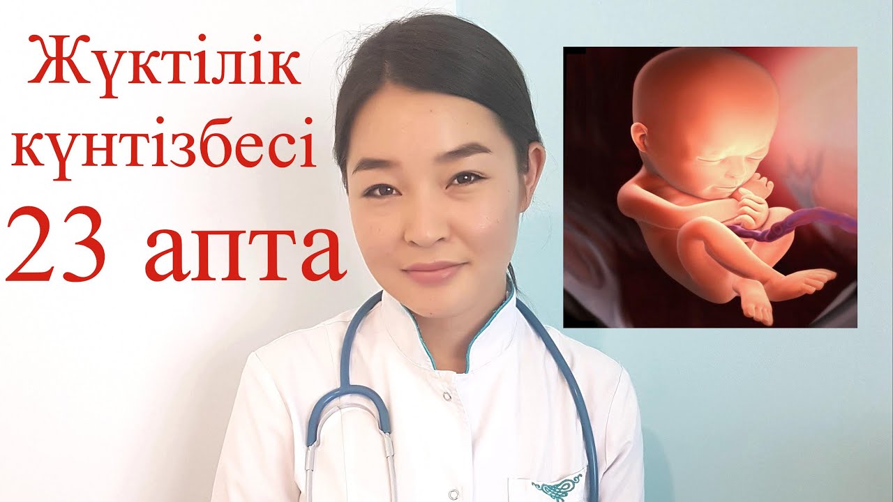 Жүктілік күнтізбесі 23 апта//календарь беременности 23 неделя
