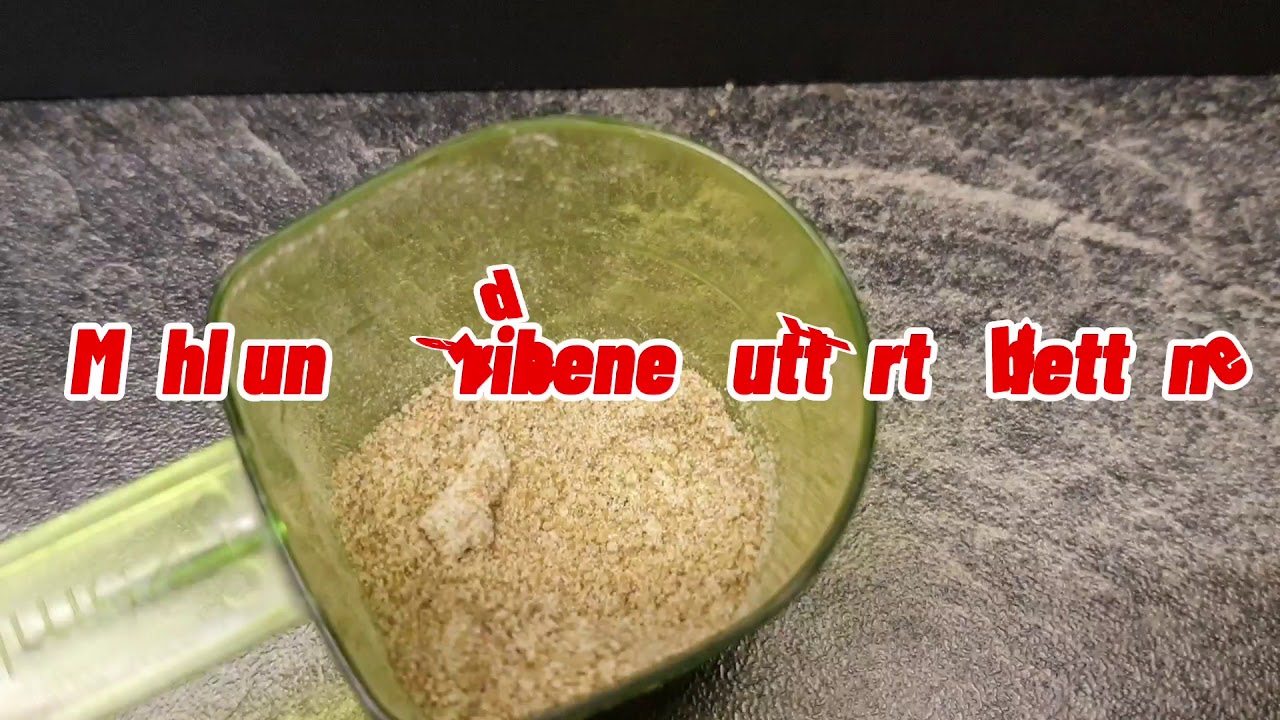 Skalar Zucht!!!!