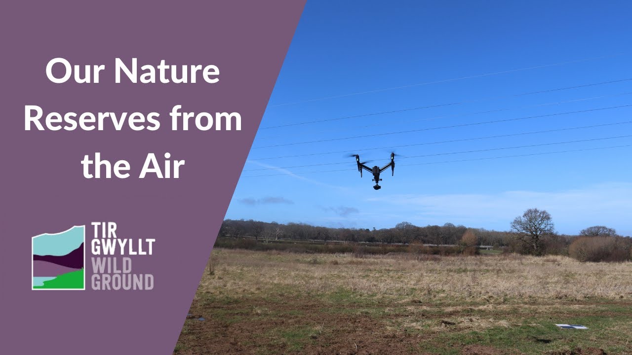 Wild Ground - Our Nature Reserves from the Air