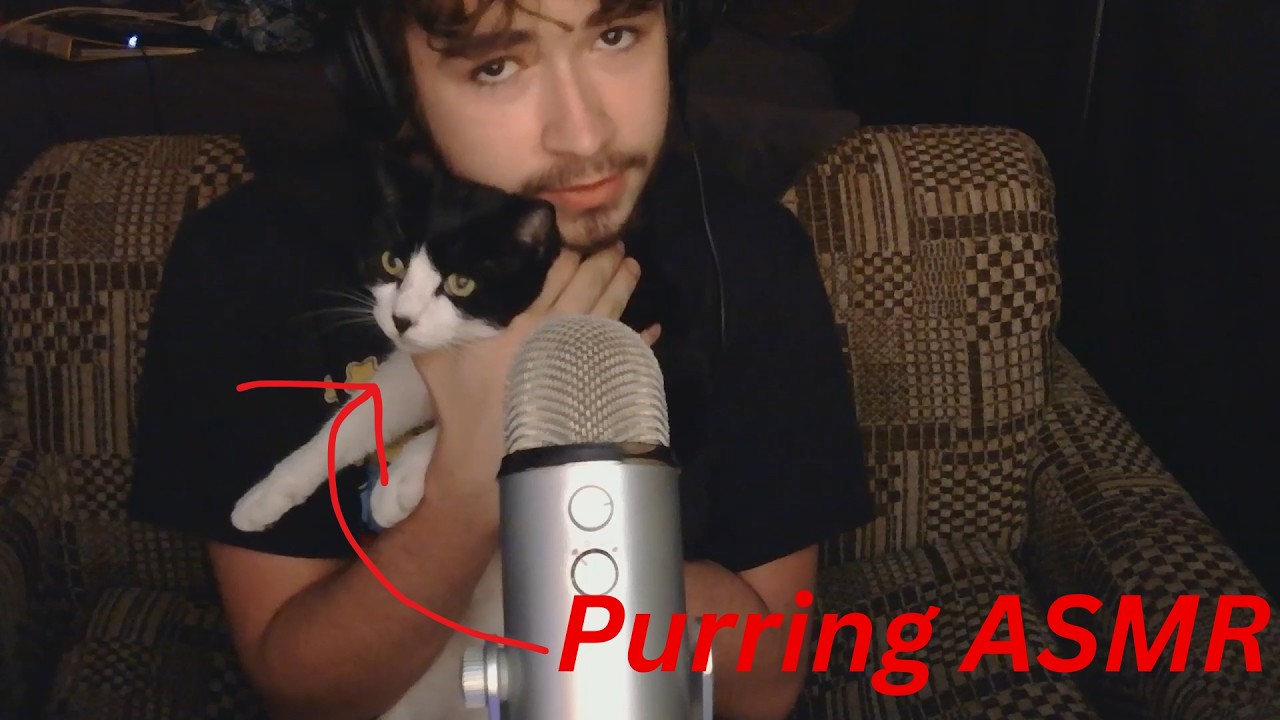 [ASMR] Cat purring and tapping while i tell you about my pets!