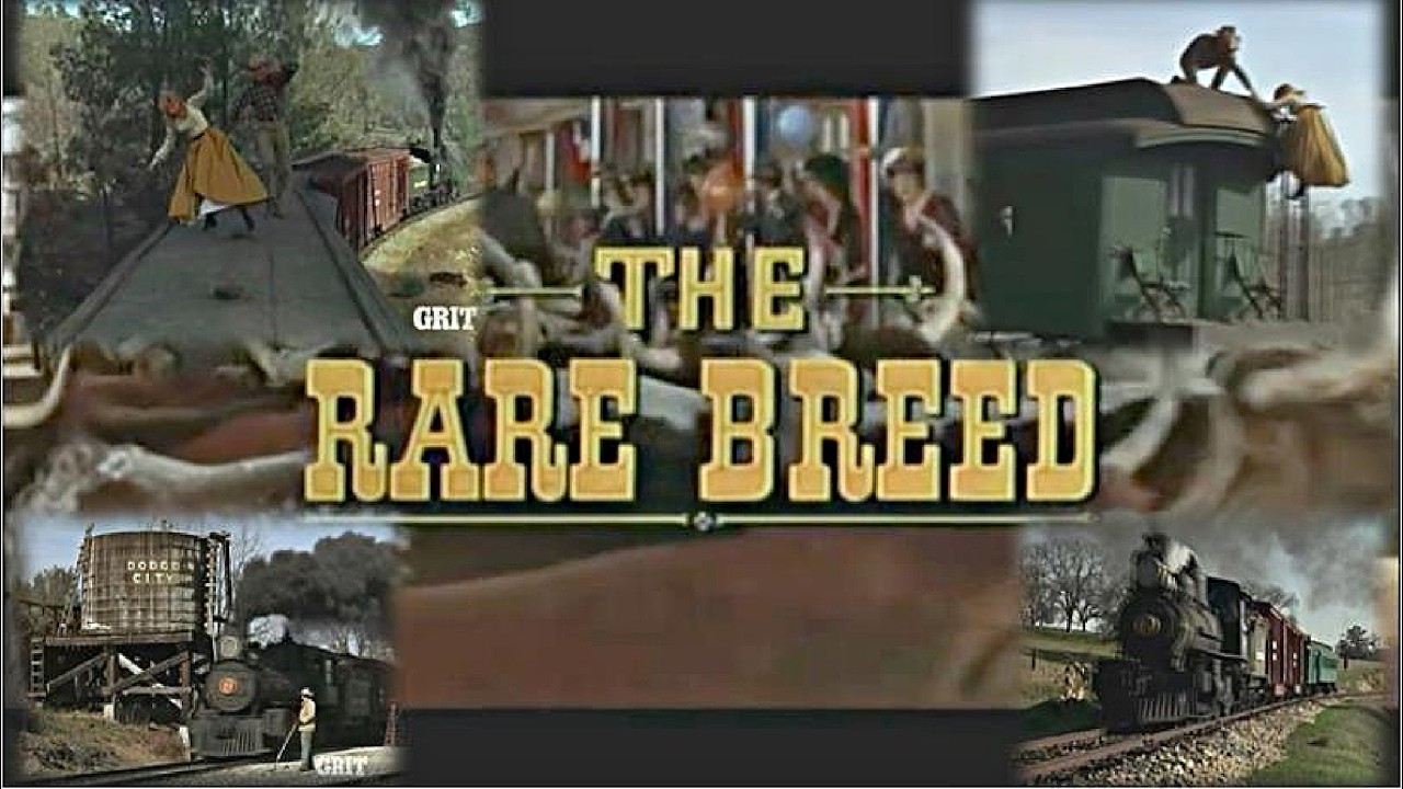 train The Rare Breed 1966