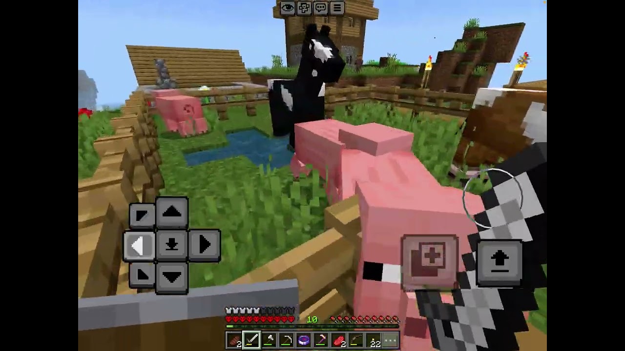 Episode 4 Minecraft hardcore, The sad adventure