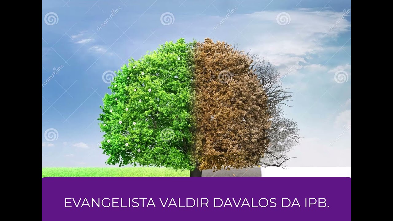 REGENERAÇÃO. EV. VALDIR DAVALOS.