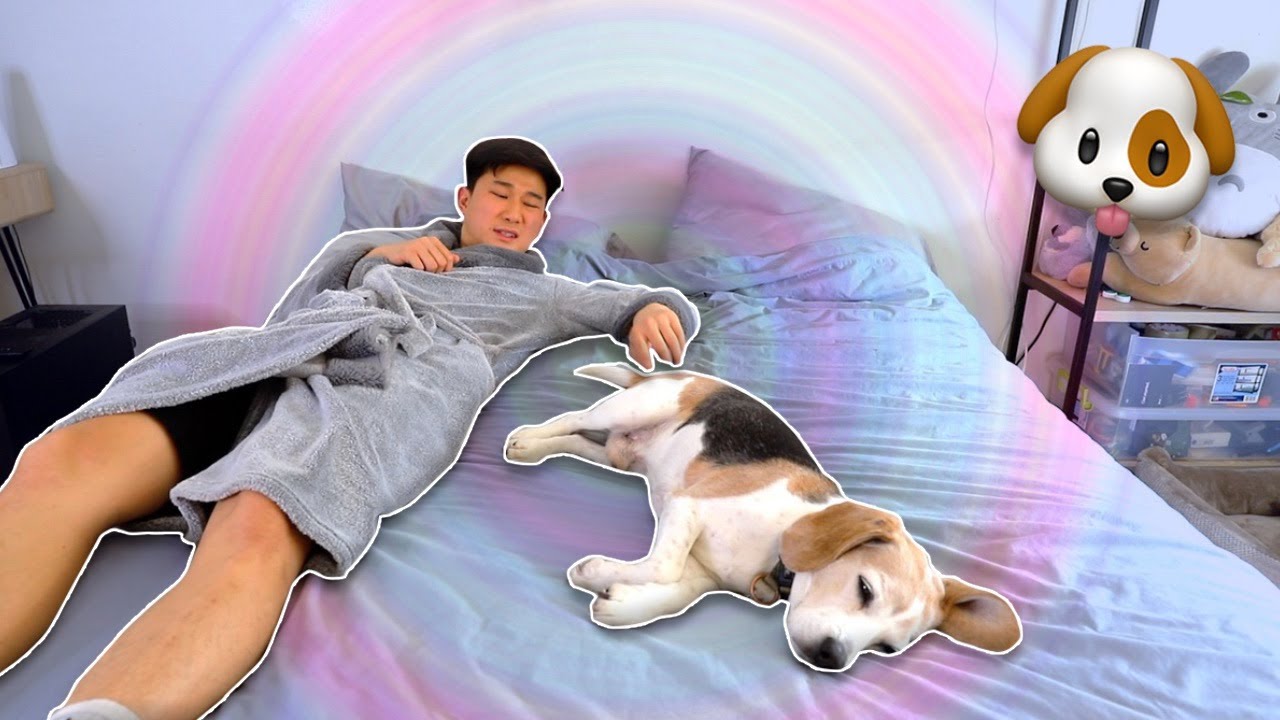 17 Dog Owner Problems | Smile Squad Comedy