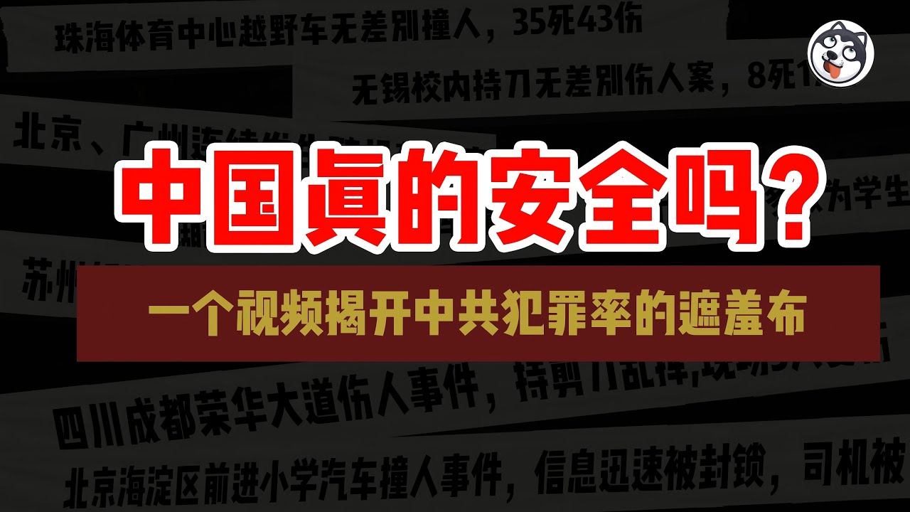 中國真實的犯罪率到底有多高？監控攝像頭和維穩能夠制止犯罪率的上升嗎？真正影響犯罪率的因素是什麼？為什麼習近平是犯罪率上升的主要原因？所謂的「嚴打」效果如何？