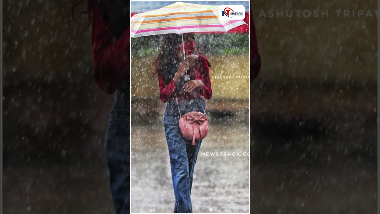 World Photography Day 2023 : विश्व फोटोग्राफी दिवस। #shorts #viralvideo #viralpost | NewsTrack |