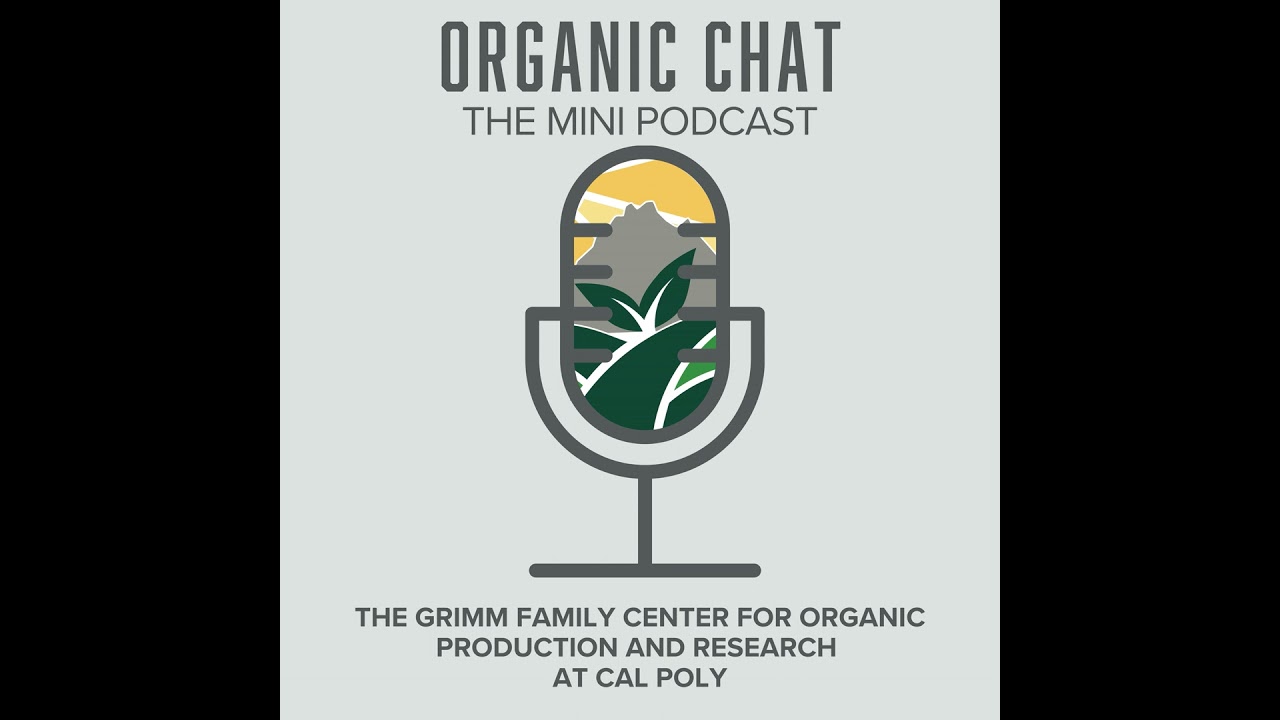 Organic Chat: Part 19 - John McKeon, Scott Park, & Matt Coniglio