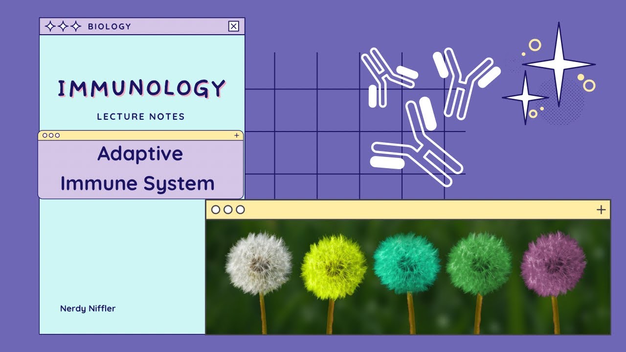 Immunology | Adaptive Immunity Intro