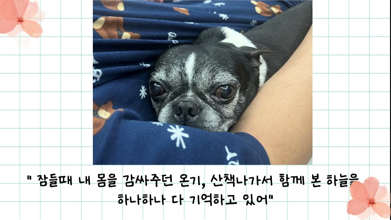 연탄