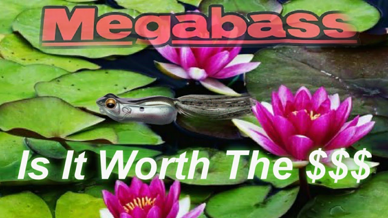 Megabass GABOT (Frog Review)