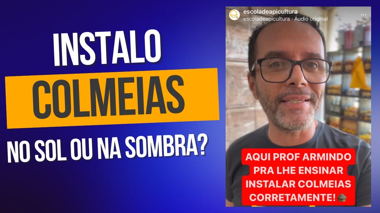 INSTALO COLMEIAS DIRETO AO SOL OU DIRETO &Agrave; SOMBRA?