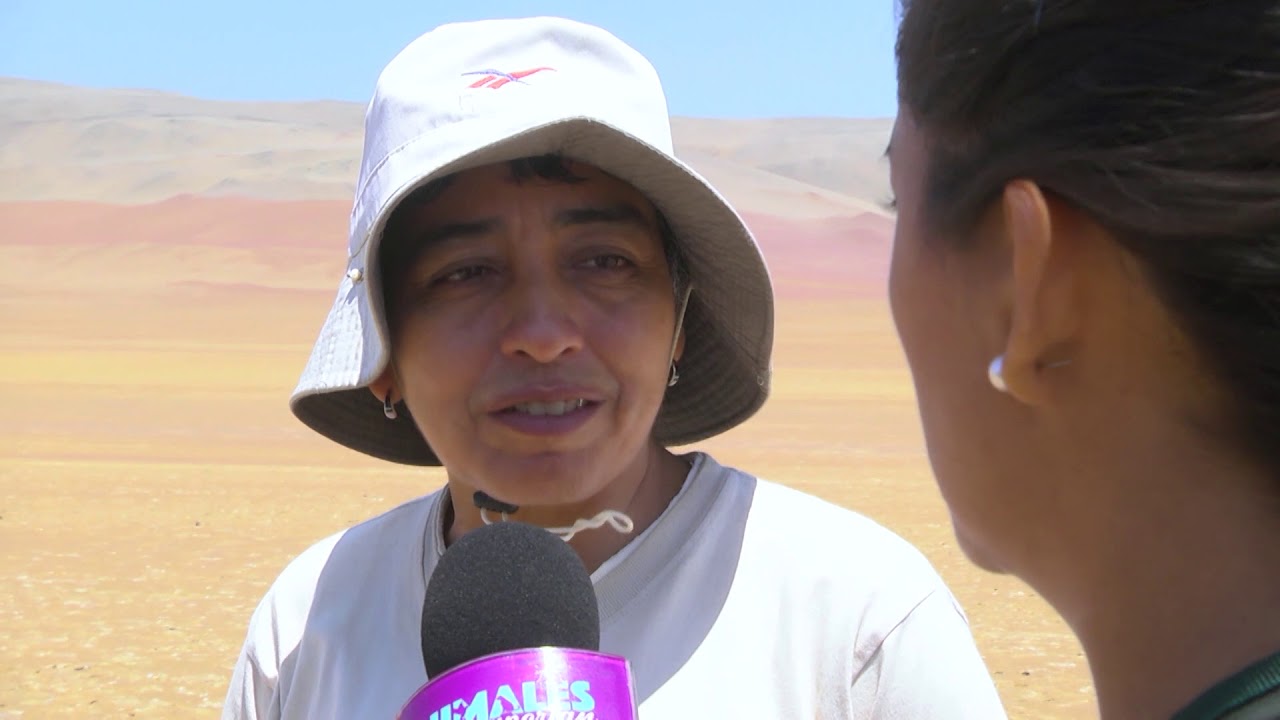 RESERVA NACIONAL DE PARACAS – VOLUNTARIOS POR UN DÍA