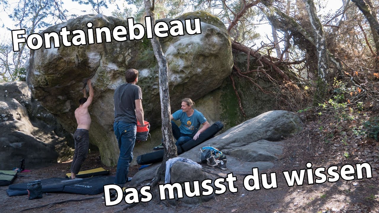 Bouldern in Fontainebleau - das solltest du wissen | Tipps