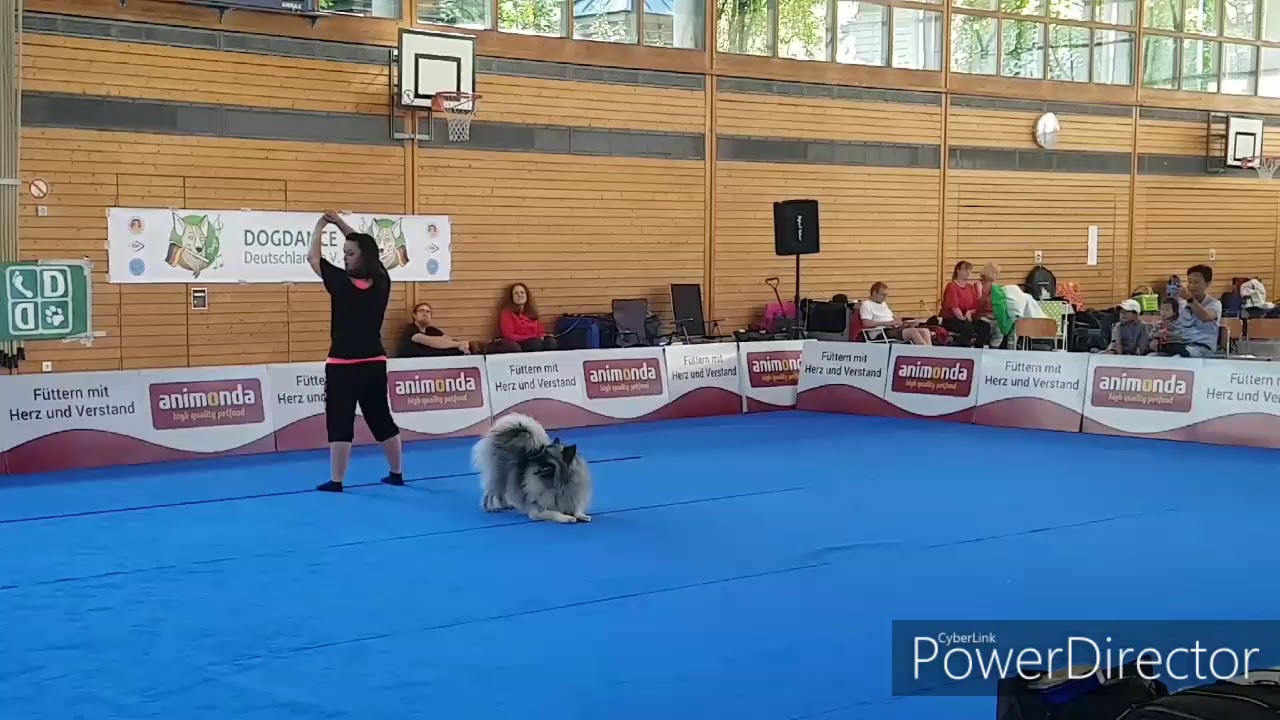 Dog Dance Turnier/ Dog Dancing/ wolfsspitz / Tricks/Trickdog