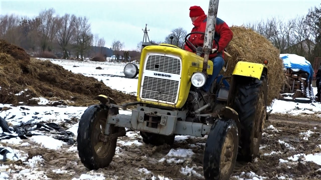 ☆Wyrzucanie Obornika czyli Ferie 2019☆ Ursus C-330M&Widlak