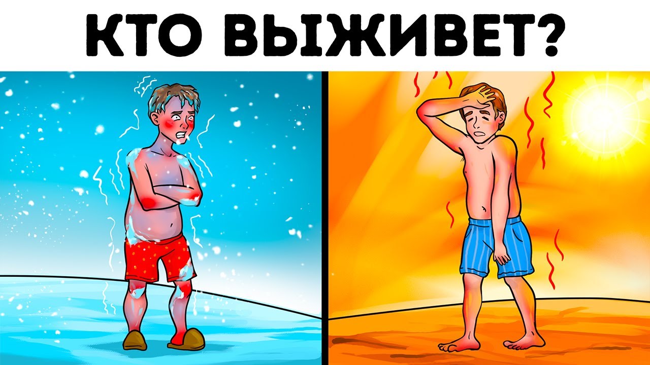 Решите одну из этих загадок, чтобы доказать, что вы – новый Шерлок