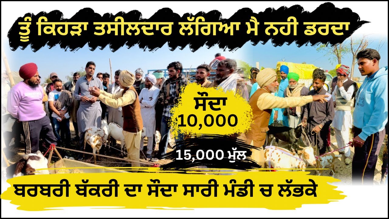 ਅੱਜ ਰਾਜੂ ਬਰਬਰੀ ਬੱਕਰੀ ਦਾ ਸੌਦਾ ਕਰਵਾੳਦਾ ਵੇਖੋ 