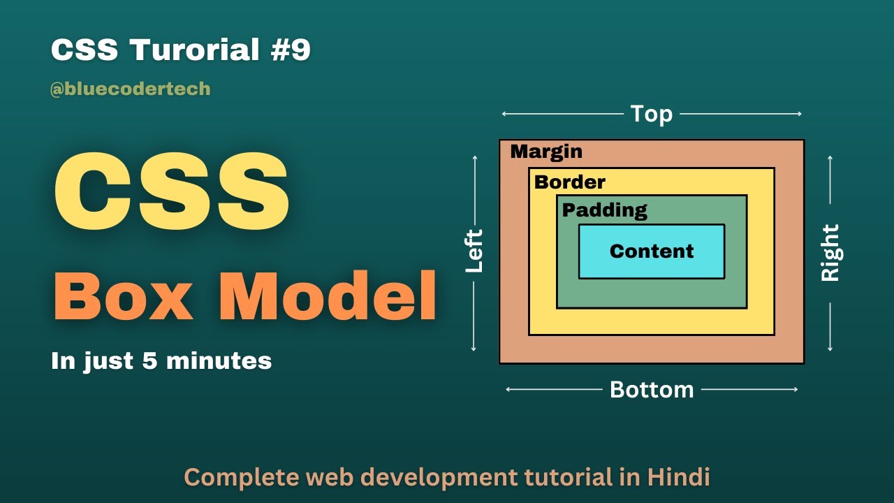 CSS Box Model: Learn about Padding, Border, and Margin in Hindi - Learn Web Developement #27