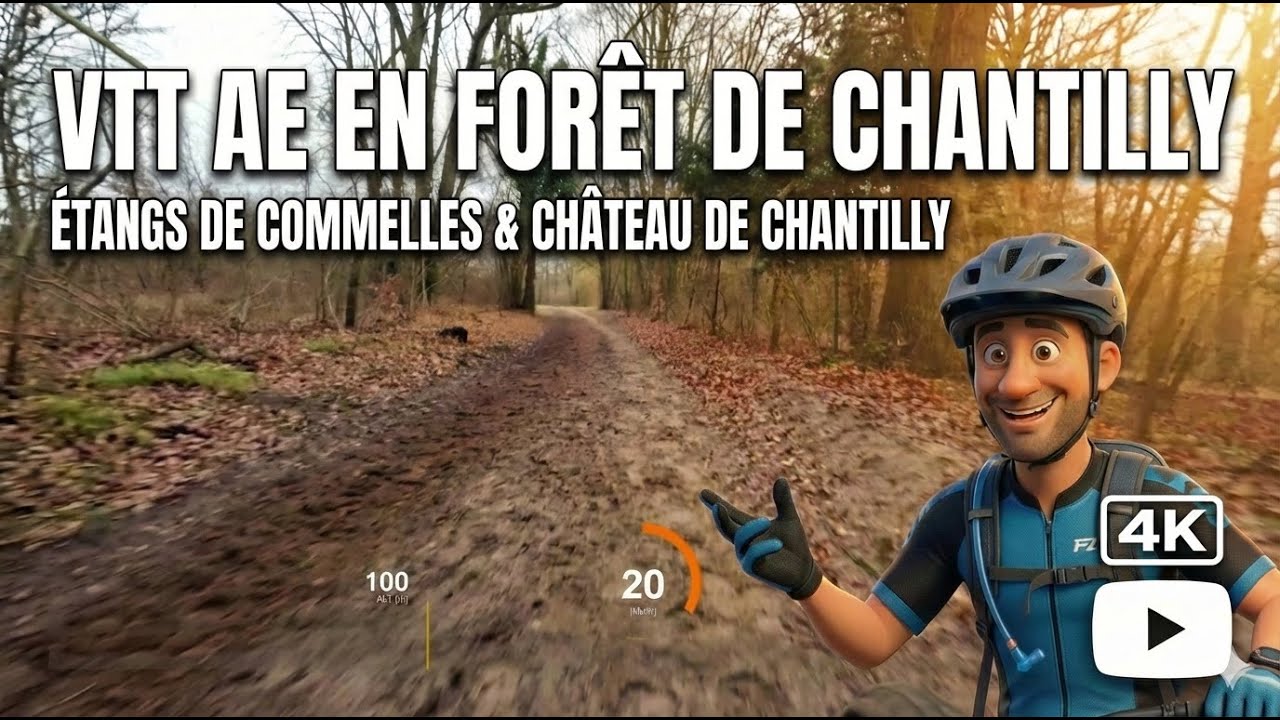 Randonnée VTT 🌳 en forêt de Chantilly | 25 km dans le sud de l'Oise 🚴🏻‍♂️ | Slow TV 4K