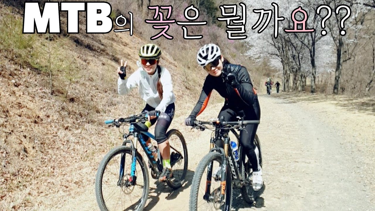 [대전계족산성]엠티비의꽃은뭘까요??