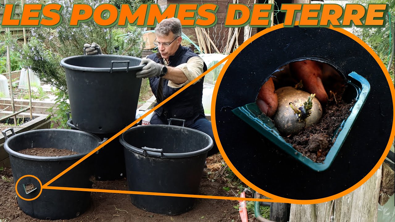 COMMENT PLANTER DES POMMES DE TERRE EN POTS - Que Faire Dans Mon Jardin ? Semaine 17