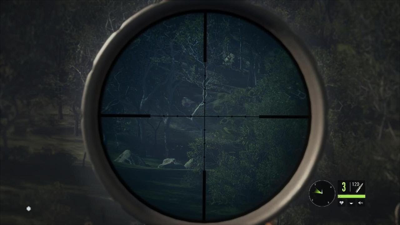 theHunter: Call of the Wild || PS5 Banteng hunting I got the whole herd