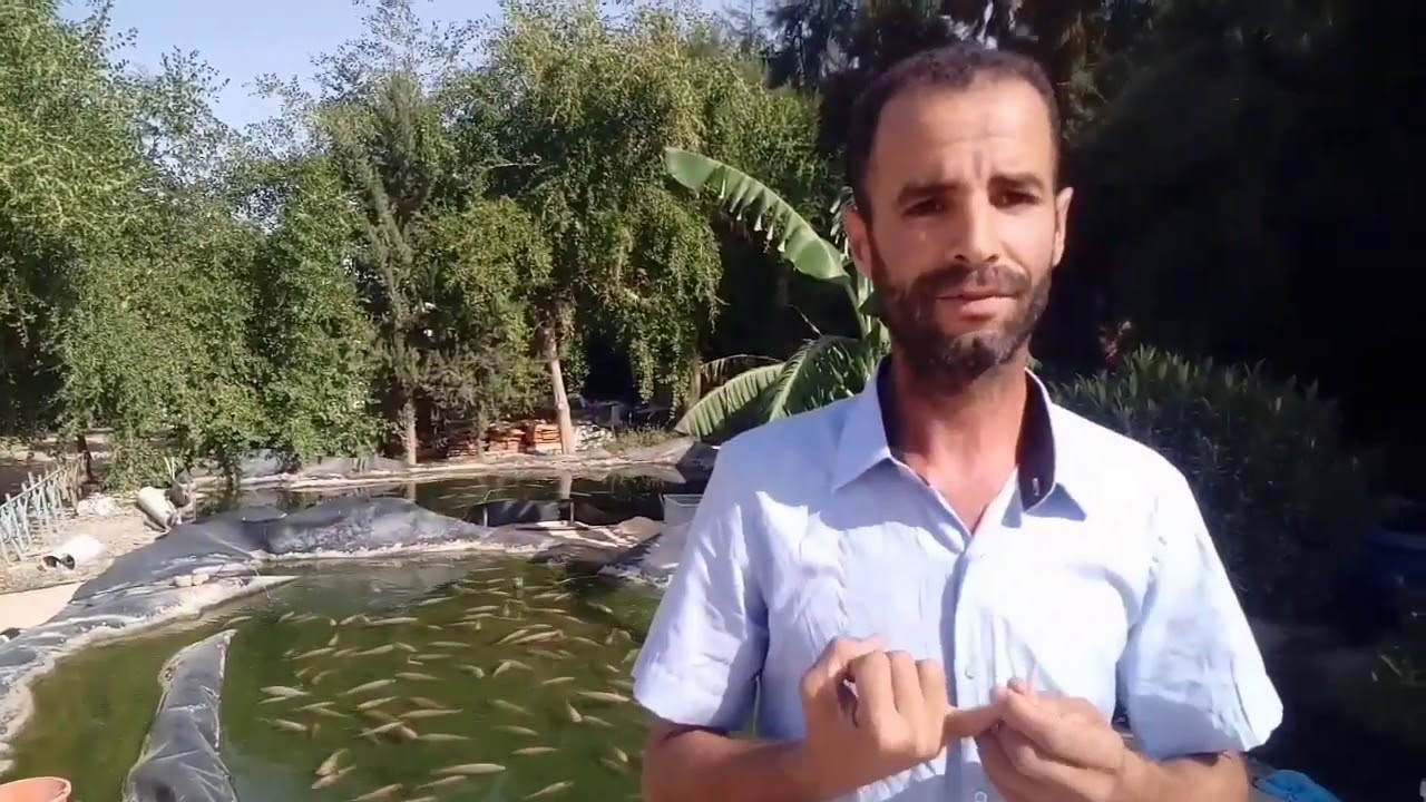 تربية الاسماك بالصحراء ولاية وادي سوف بلدية الدبيلة