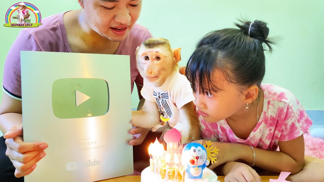 Поздравляем! Награда за старания семьи обезьянок Лили!