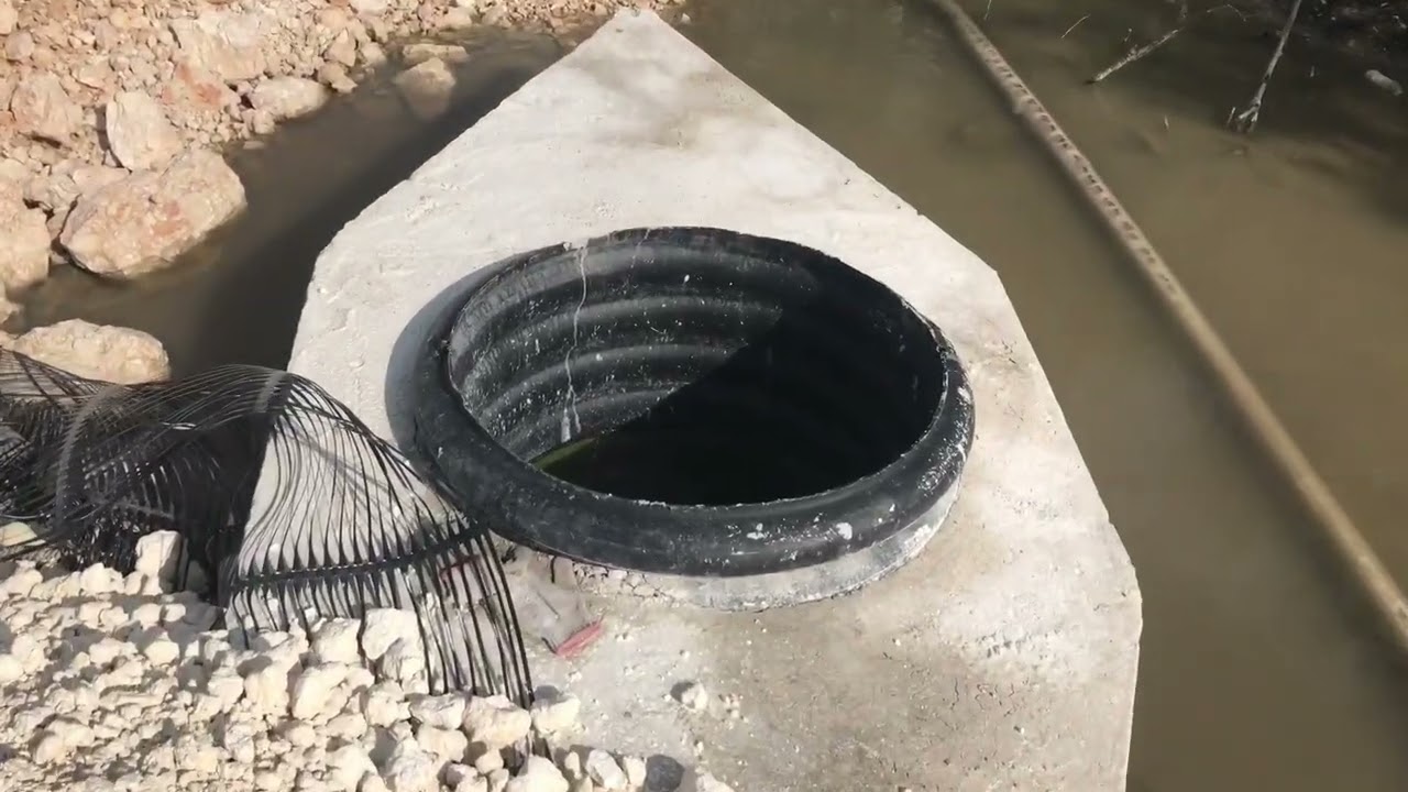 Chec Building  Drainage And Culvert In The Swamp Port Morant St Thomas Jamaica.