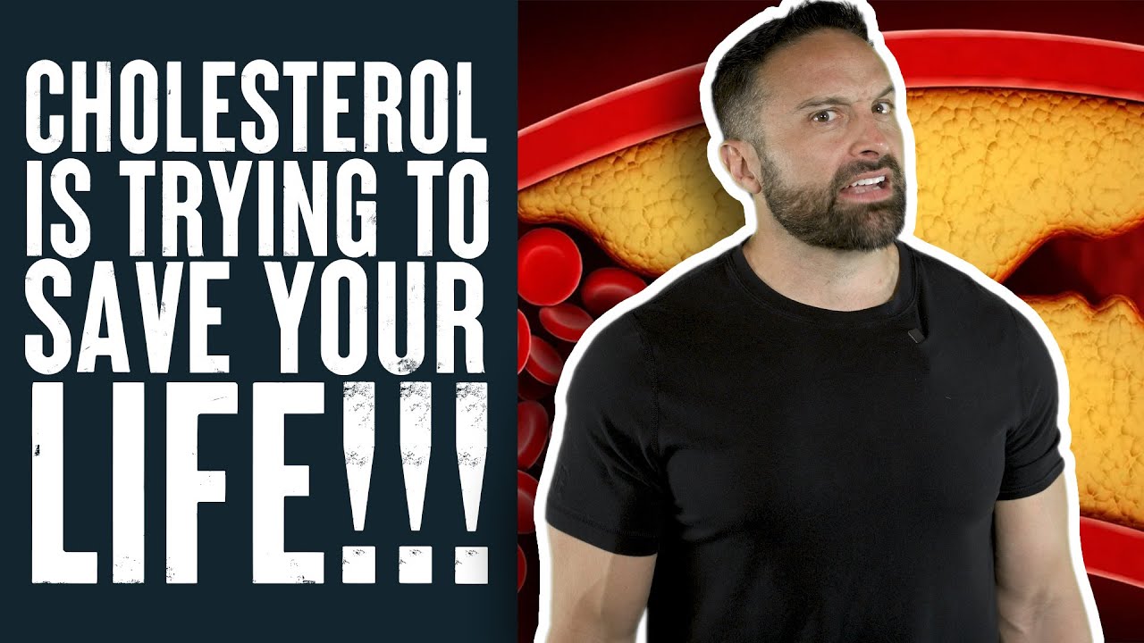 Cholesterol is Trying to Save Your Life! | What the Fitness | Layne Norton PhD