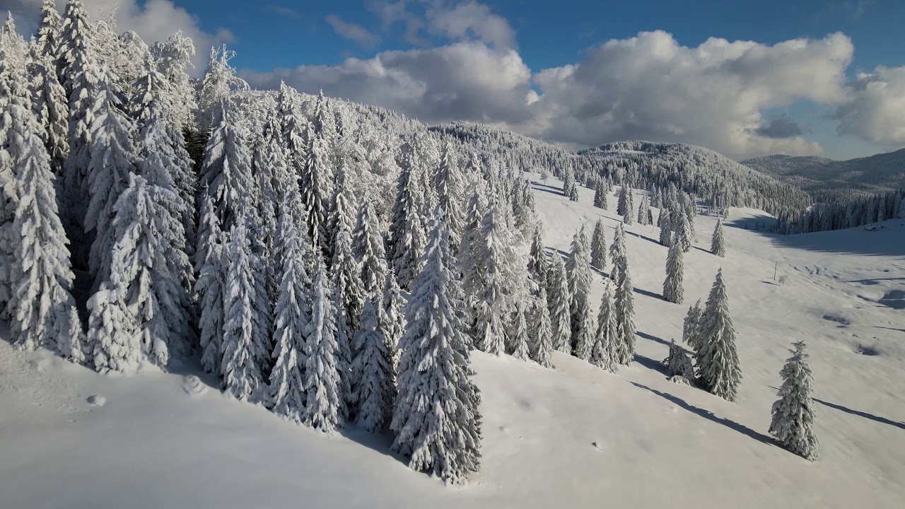 Padis | Parcul Natural Apuseni | Muntii Apuseni