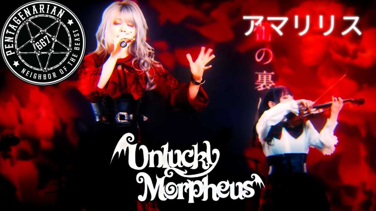 VIOLINS? WHY NOT?  UNLUCKY MORPHEUS - アマリリス (Amaryllis)