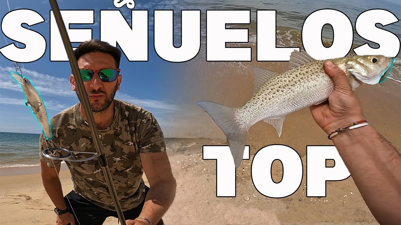 APRENDE a ELEGIR el SEÑUELO ADECUADO! MIRA que PESCA !!! [trucos en la descripción]