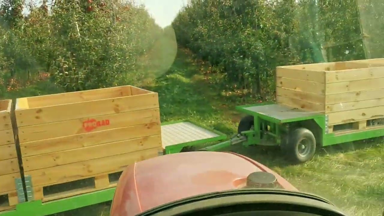 Skrót sezonu 2021.