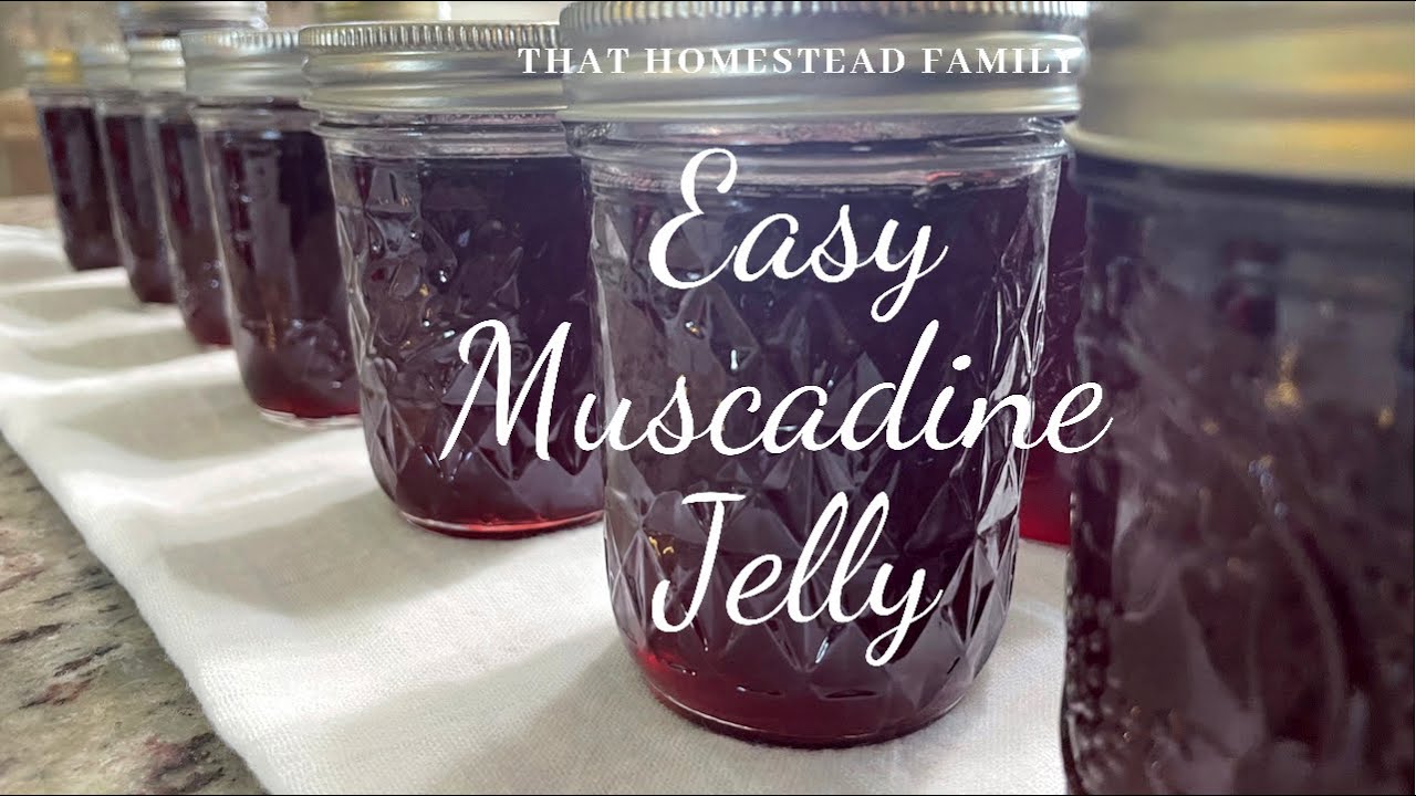 Easy Muscadine Jelly