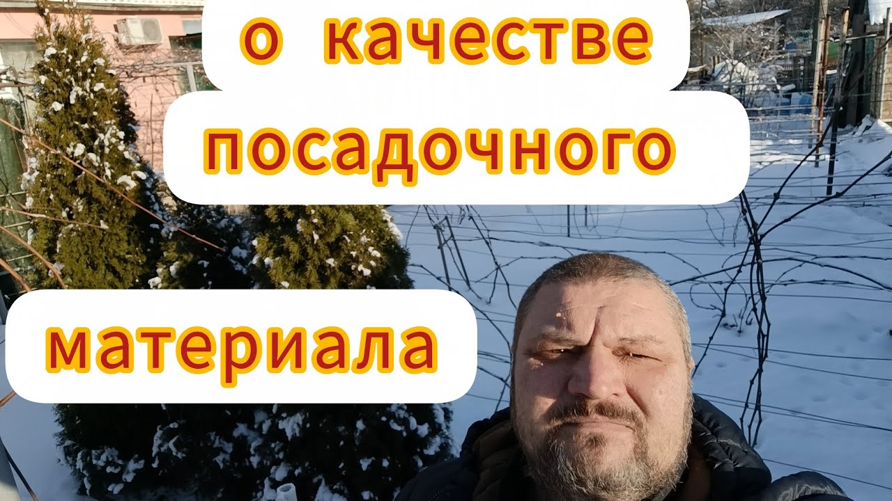 Виноград. О качестве посадочного материала.