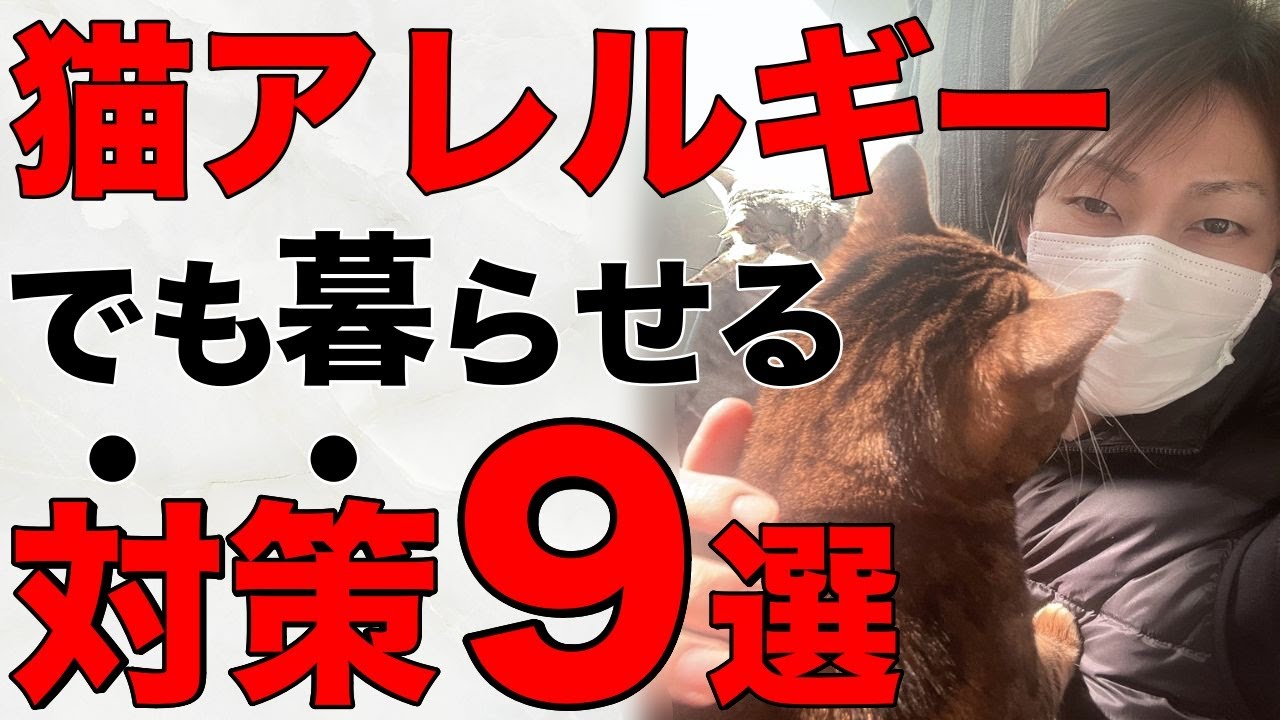 【保存版】猫と一緒に暮らすための猫アレルギー対策9選【これ無しじゃ暮らせない】（後編）