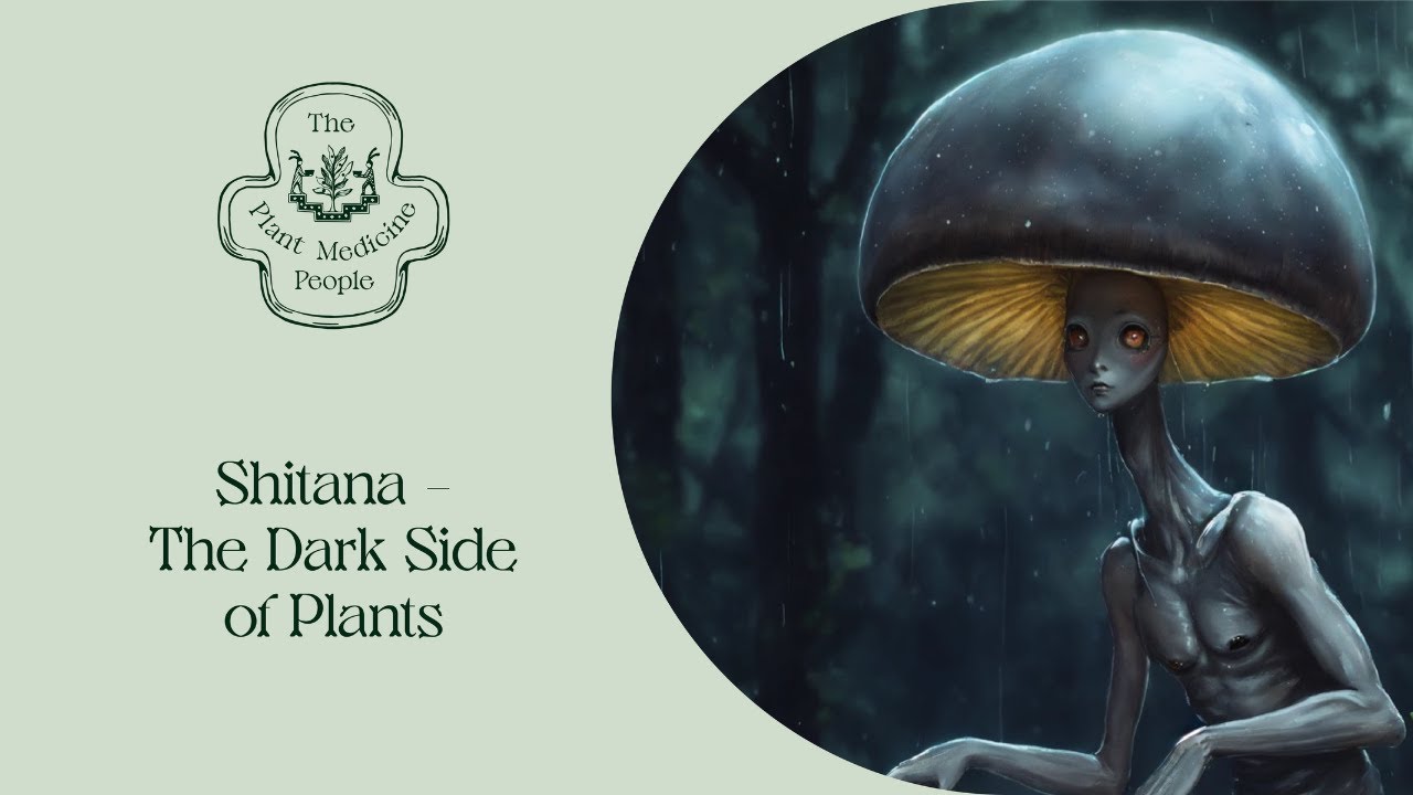 What is Shitana? | The Dark Side of Plants