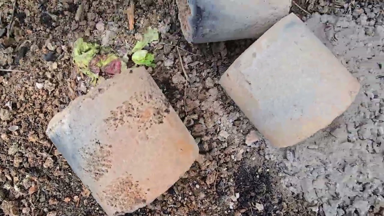 사는게 뭔지 울엄니 밥상준비 설거지 택시영업 솔직하게 쪼매 지친다 ᆢ