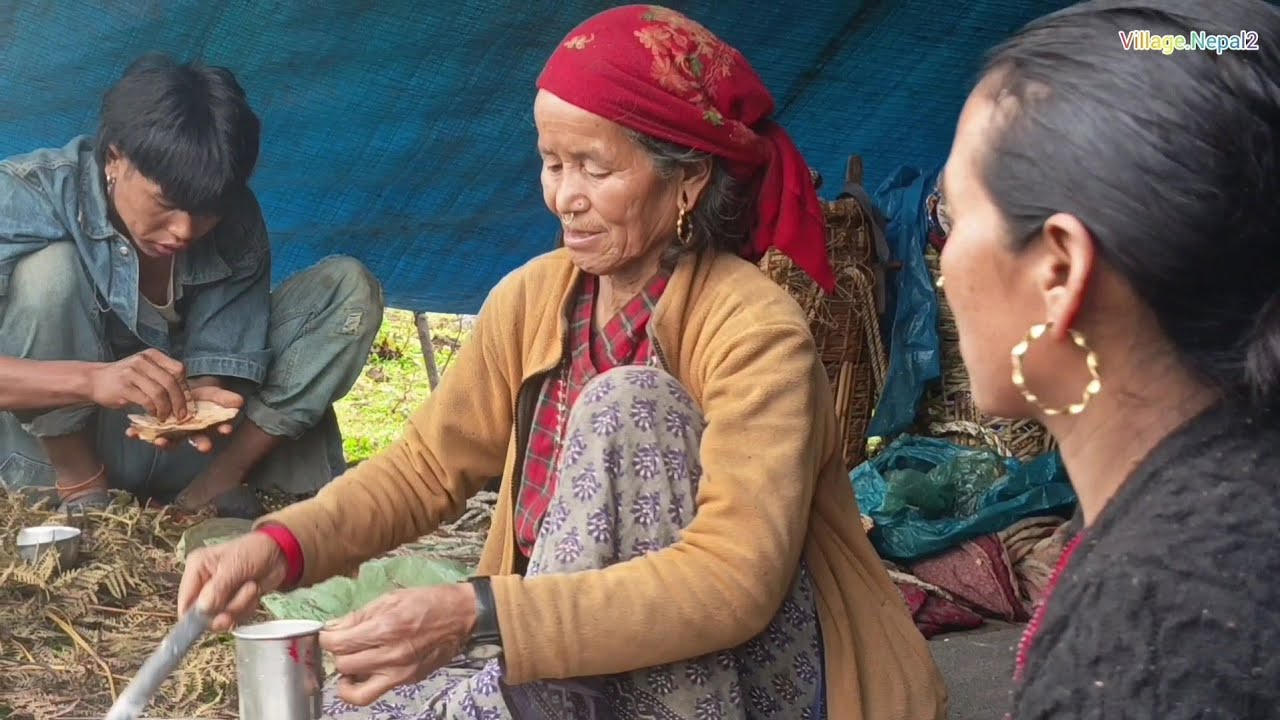 himalayan village life in Nepal | daily life in himalayan village | best himalayan life documentary