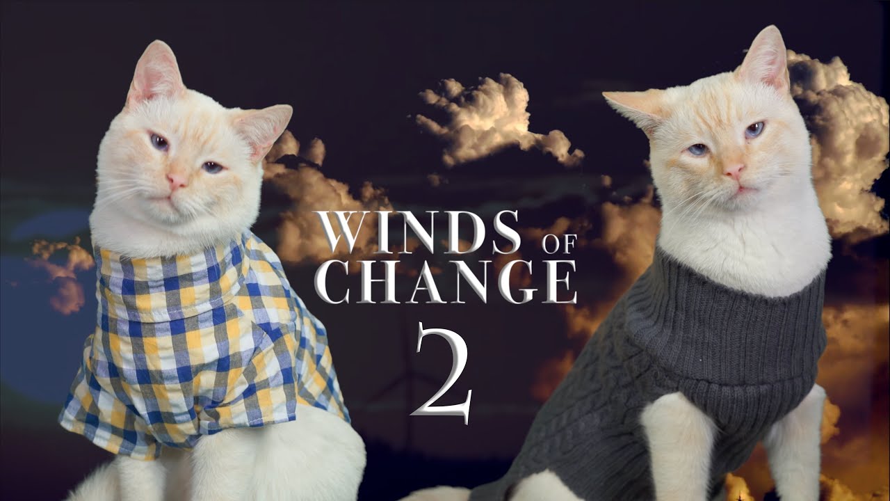 Winds of Change (Cat Soap Opera) Episode 2