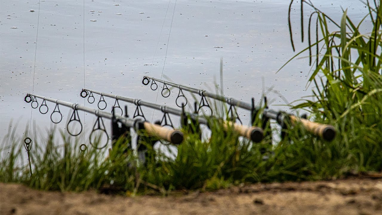 Карповая рыбалка на большом общественном водохранилище - Полная бойня!