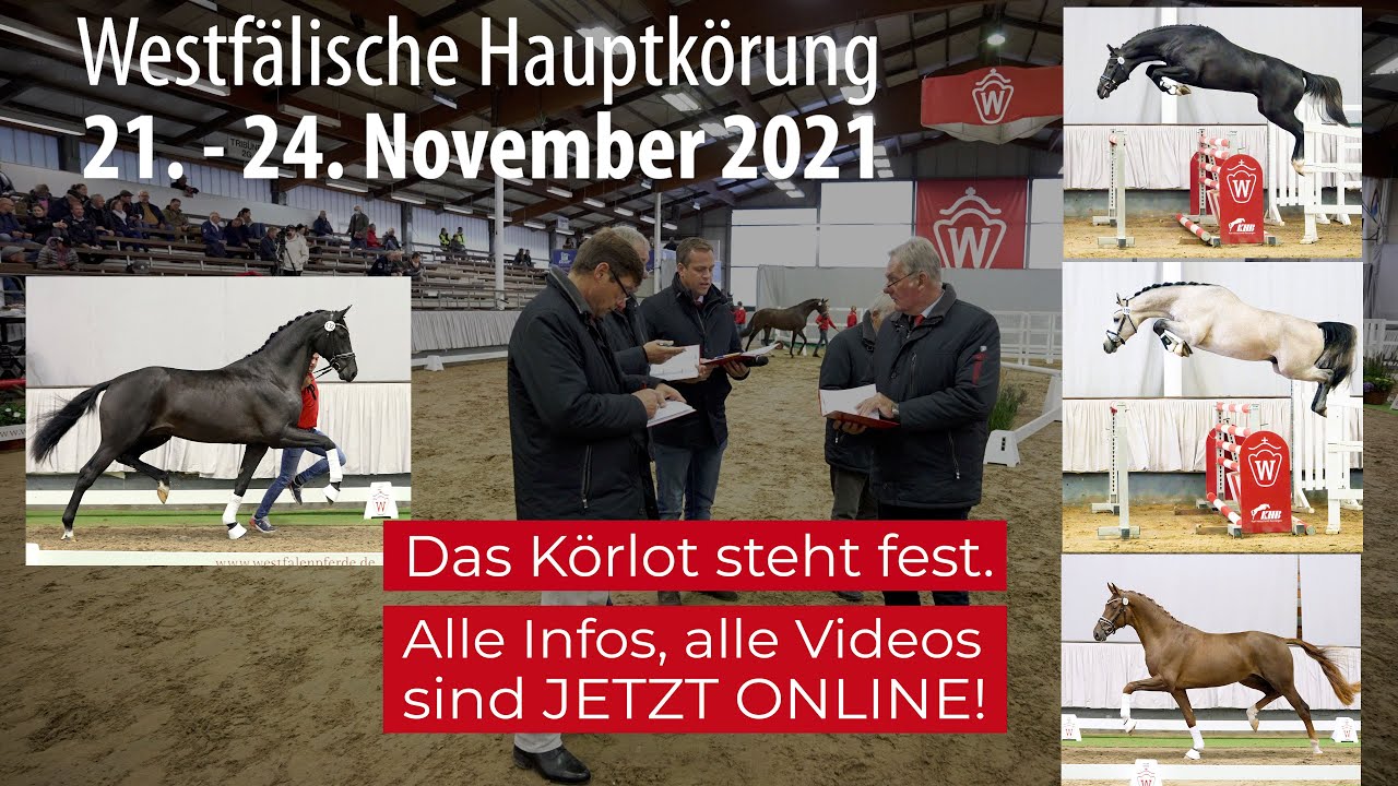 Trailer Westfälische Hauptkörung Reitpferdehengste 21. - 24. November 2021